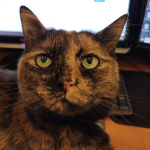 Fundraising Page: Lindsay Brewer